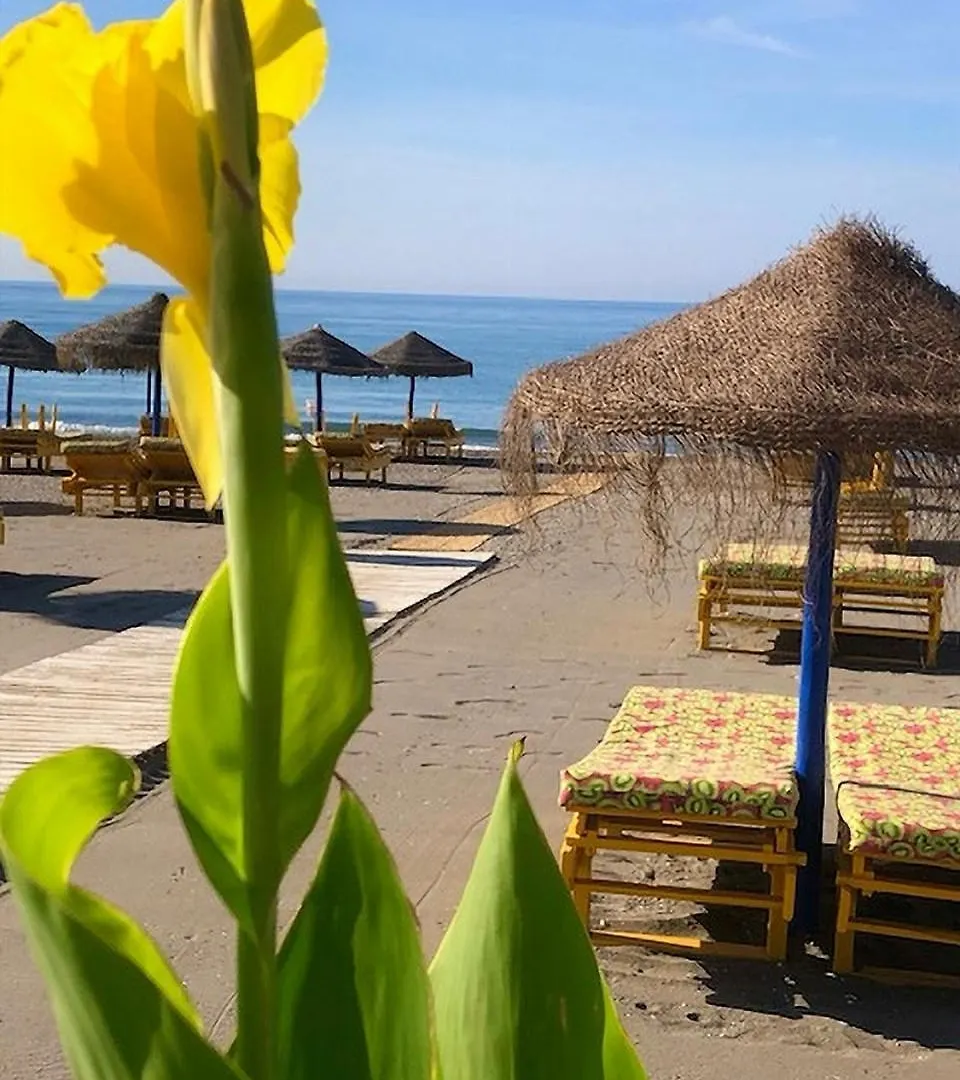 Spacious 1 Bedroom Apartment, Beach Front, Torrox Costa 0*,